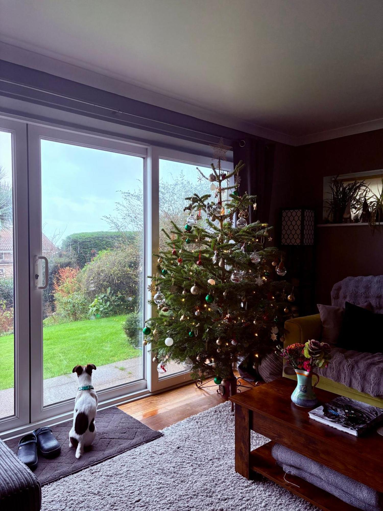 Stunning Charmouth Property With Bay Views! ภายนอก รูปภาพ